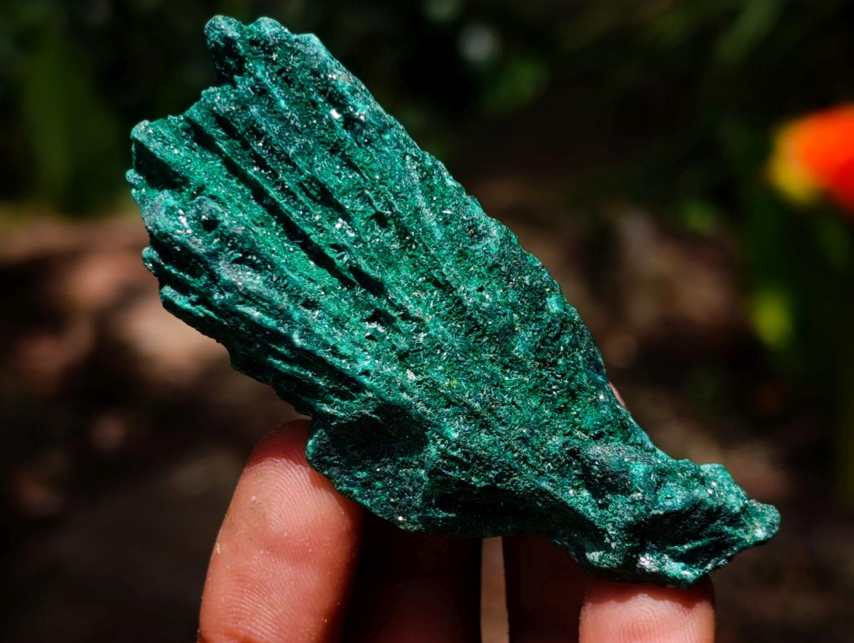 Natural Mixed Collectors Set of 6 African Minerals in a Wooden Display Box x 1 From Southern Africa