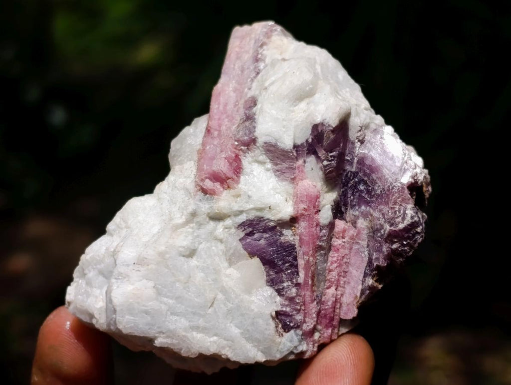 Natural Mixed Collectors Set of 6 African Minerals in a Wooden Display Box x 1 From Southern Africa