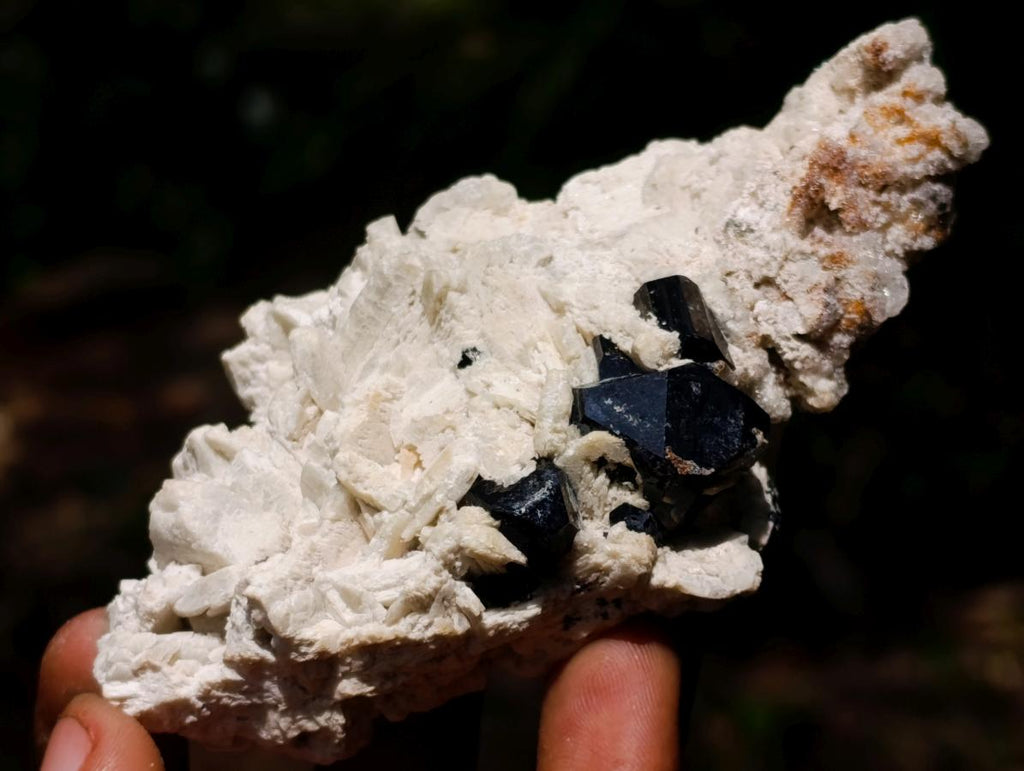 Natural Mixed Collectors Set of 6 African Minerals in a Wooden Display Box x 1 From Southern Africa