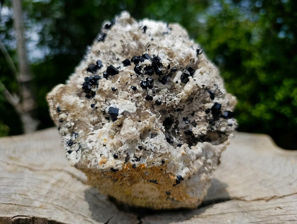 Natural Schorl Black Tourmaline Crystals on Feldspar with Fluorescent Hyalite Opal on Top x 1 From Erongo, Namibia
