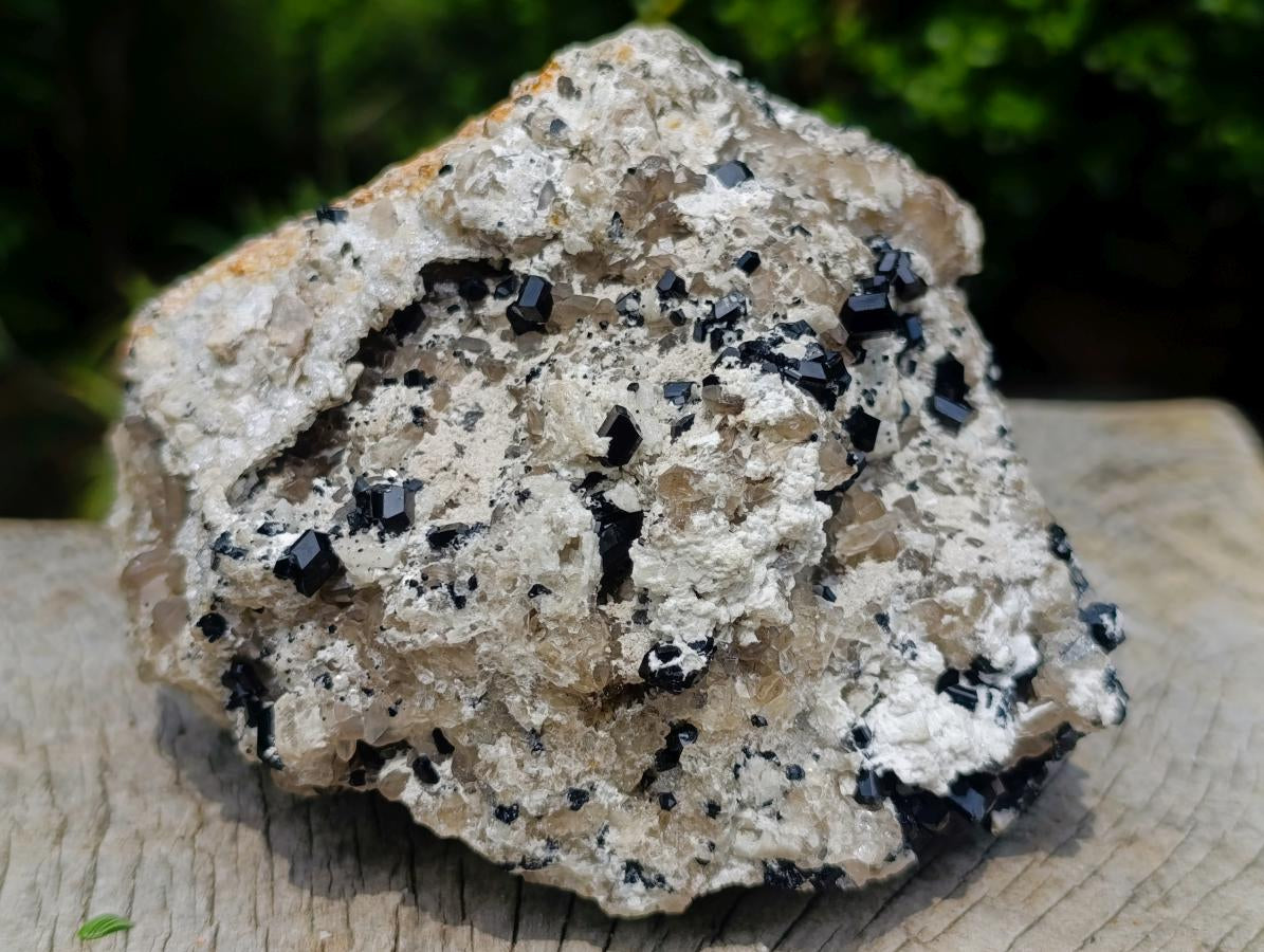 Natural Schorl Black Tourmaline Crystals on Feldspar with Fluorescent Hyalite Opal on Top x 1 From Erongo, Namibia