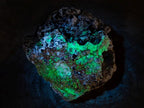 Natural Schorl Black Tourmaline Crystals on Feldspar with Fluorescent Hyalite Opal on Top x 1 From Erongo, Namibia