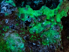 Natural Schorl Black Tourmaline Crystals on Feldspar with Fluorescent Hyalite Opal on Top x 1 From Erongo, Namibia