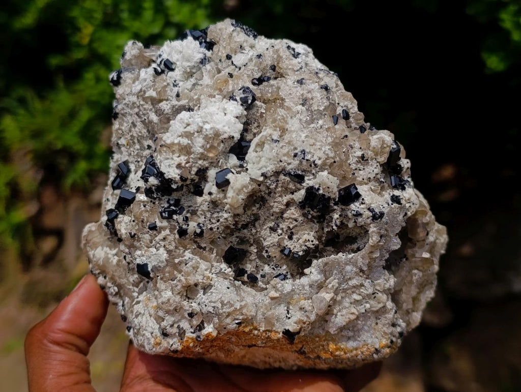Natural Schorl Black Tourmaline Crystals on Feldspar with Fluorescent Hyalite Opal on Top x 1 From Erongo, Namibia