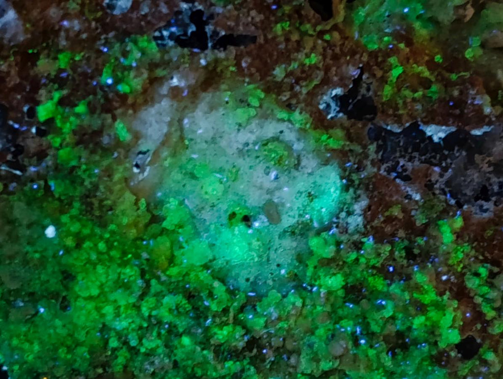 Natural Schorl Black Tourmaline Crystals on Feldspar with Fluorescent Hyalite Opal on Top x 1 From Erongo, Namibia