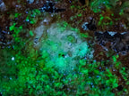 Natural Schorl Black Tourmaline Crystals on Feldspar with Fluorescent Hyalite Opal on Top x 1 From Erongo, Namibia