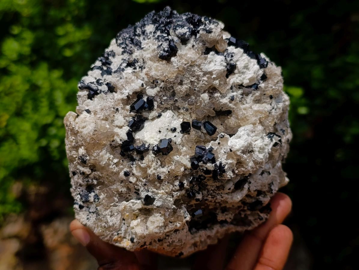 Natural Schorl Black Tourmaline Crystals on Feldspar with Fluorescent Hyalite Opal on Top x 1 From Erongo, Namibia