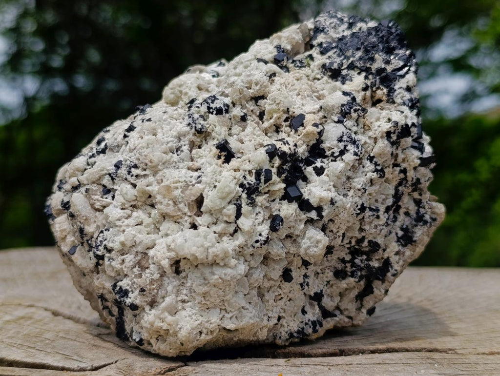 Natural Schorl Black Tourmaline Crystals on Feldspar with Fluorescent Hyalite Opal on Top x 1 From Erongo, Namibia