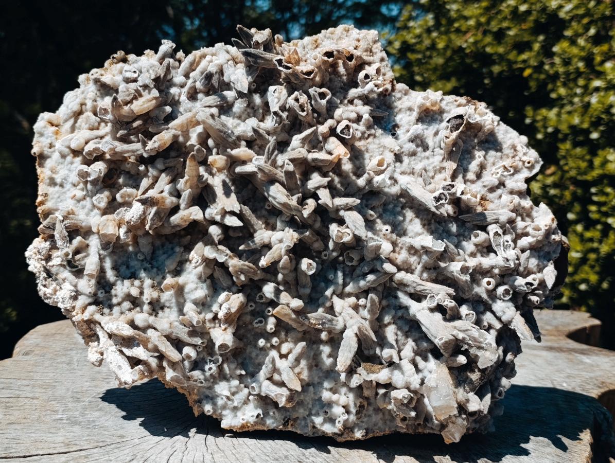 Natural Extra Large Lesotho Spearhead Calcite Sceptre Crystal Specimen x 1 From Albert's Mountain, Lesotho