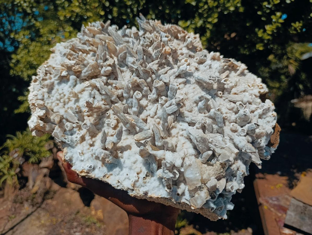 Natural Extra Large Lesotho Spearhead Calcite Sceptre Crystal Specimen x 1 From Albert's Mountain, Lesotho
