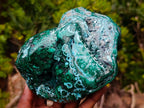 Polished Malachite and Chrysocolla Malacolla Display Piece x 1 From Kulukuluku, Congo