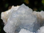 Natural Mixed Collectors Set of 6 African Minerals in a Wooden Display Box x 1 From Southern Africa