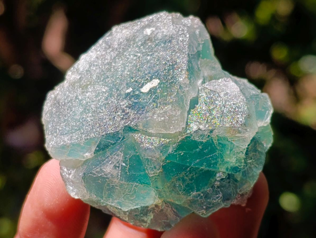 Natural Mixed Collectors Set of 6 African Minerals in a Wooden Display Box x 1 From Southern Africa