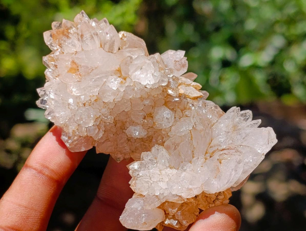 Natural Mixed Collectors Set of 6 African Minerals in a Wooden Display Box x 1 From Southern Africa