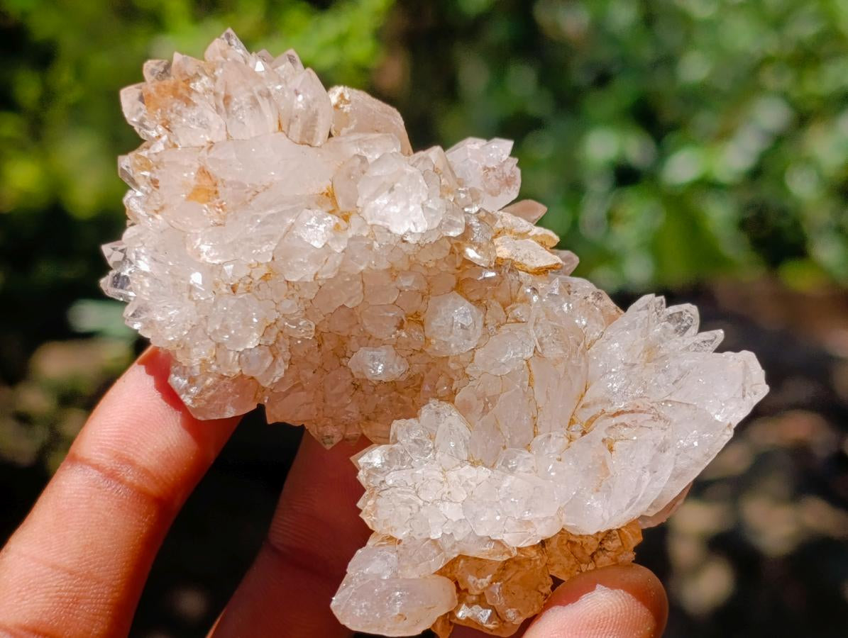 Natural Mixed Collectors Set of 6 African Minerals in a Wooden Display Box x 1 From Southern Africa