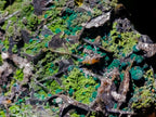 Natural Ultra Rare Olivenite and Duftite Specimen x 1 From Tsumeb, Namibia
