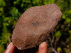 Hand Made Middle Stone Age Ancient Stone Tool Artifact x 1 From Rooikop Alluvial Deposit, South Africa