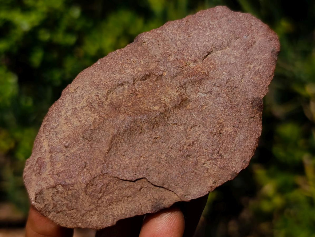 Hand Made Middle Stone Age Ancient Stone Tool Artifact x 1 From Rooikop Alluvial Deposit, South Africa