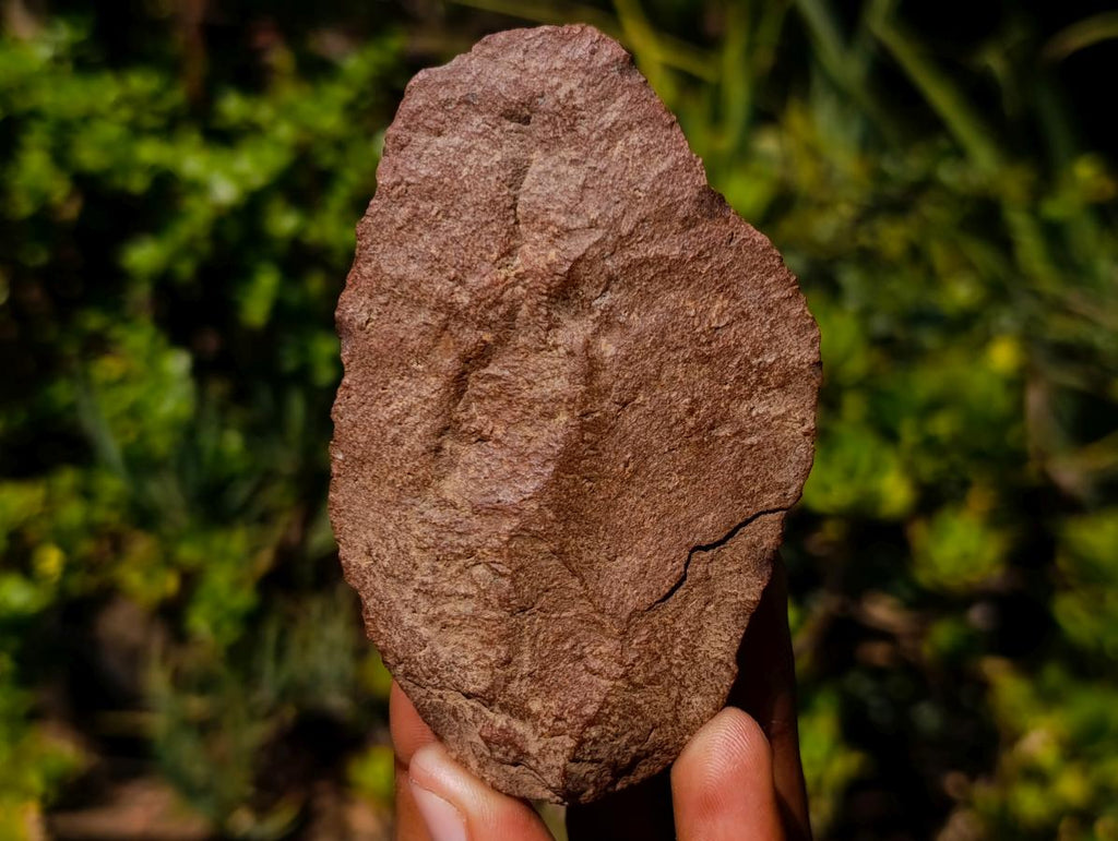Hand Made Middle Stone Age Ancient Stone Tool Artifact x 1 From Rooikop Alluvial Deposit, South Africa