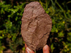 Hand Made Middle Stone Age Ancient Stone Tool Artifact x 1 From Rooikop Alluvial Deposit, South Africa