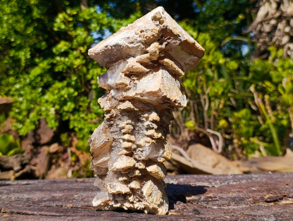 Natural Extra Large Lesotho Stacked Calcite Specimen x 1 From Albert's Mountain, Lesotho