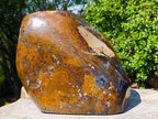 Polished Huge and Ultra Rare Pietersite Display Showpiece x 1 From Outjo, Namibia