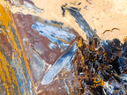 Polished Huge and Ultra Rare Pietersite Display Showpiece x 1 From Outjo, Namibia
