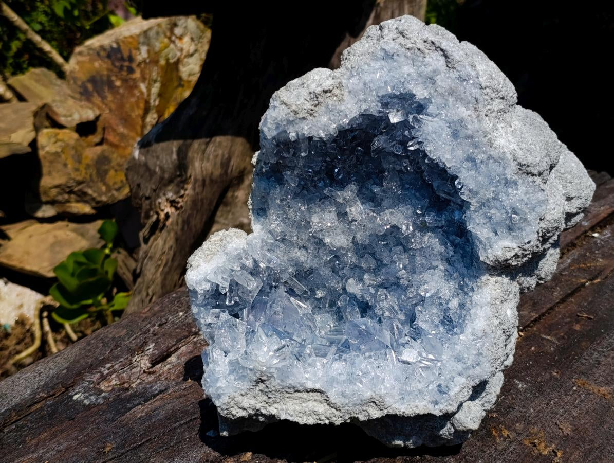 Natural Acicular Prismatic Blue Celestite XL Geode Specimen x 1 From Sakoany, Madagascar