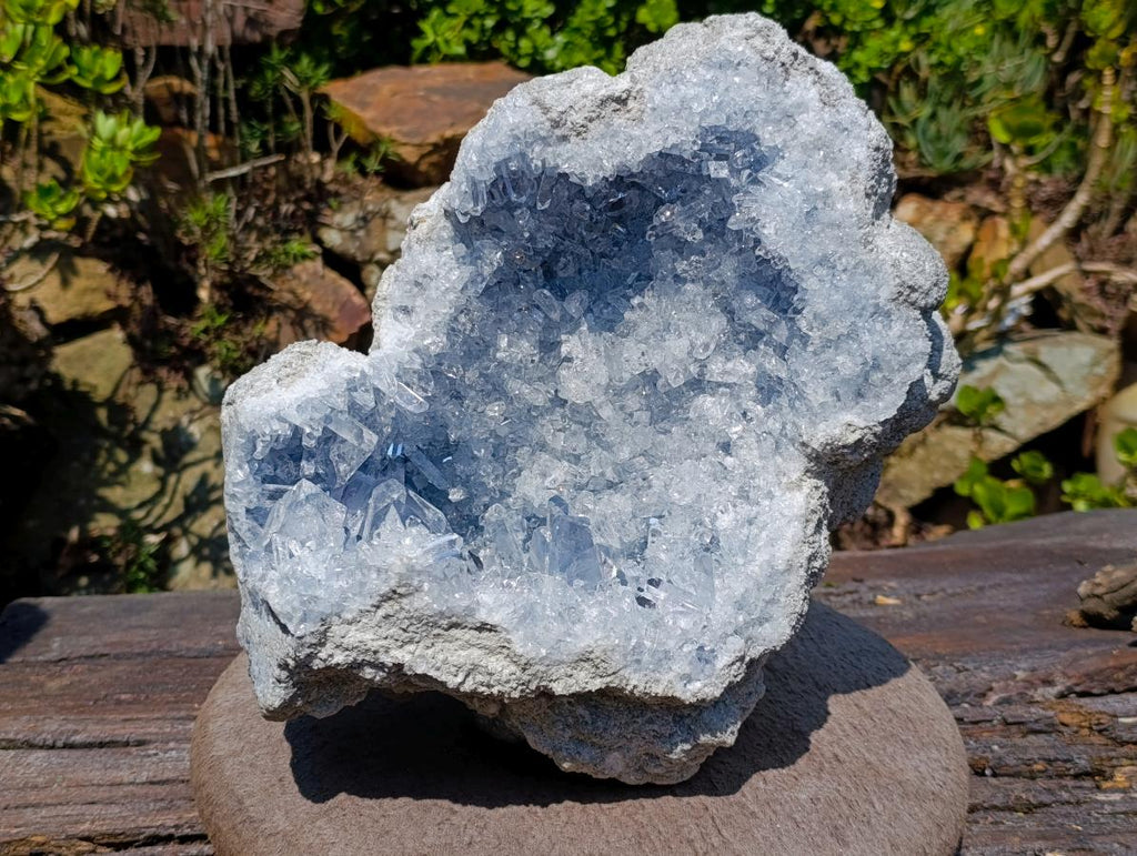 Natural Acicular Prismatic Blue Celestite XL Geode Specimen x 1 From Sakoany, Madagascar