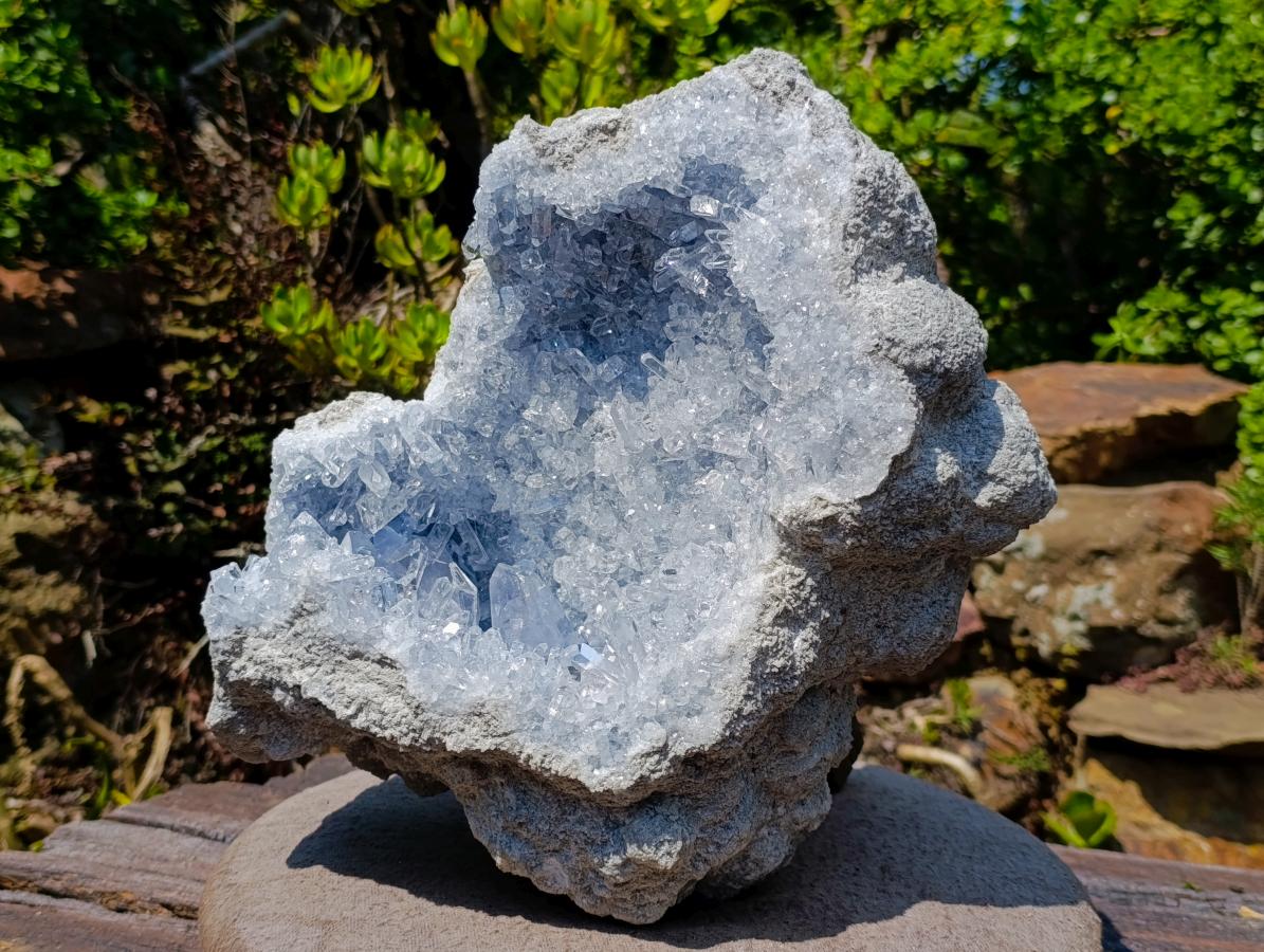 Natural Acicular Prismatic Blue Celestite XL Geode Specimen x 1 From Sakoany, Madagascar