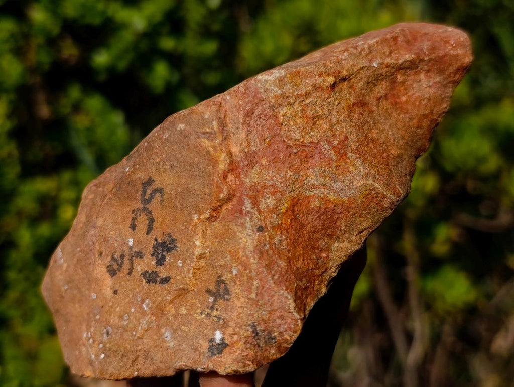 Hand Made Large Middle Stone Age Core Chopper Stone Tool in Ironstone Quartzite x 1 From Keidebees, Northern Cape, South Africa