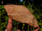 Hand Made Large Middle Stone Age Core Chopper Stone Tool in Ironstone Quartzite x 1 From Keidebees, Northern Cape, South Africa