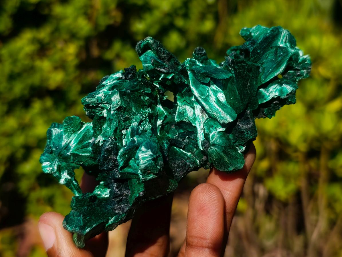 Natural AA Grade Silky Malachite Specimen x 1 From Kasompe, Congo