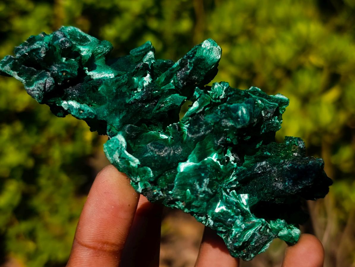 Natural AA Grade Silky Malachite Specimen x 1 From Kasompe, Congo