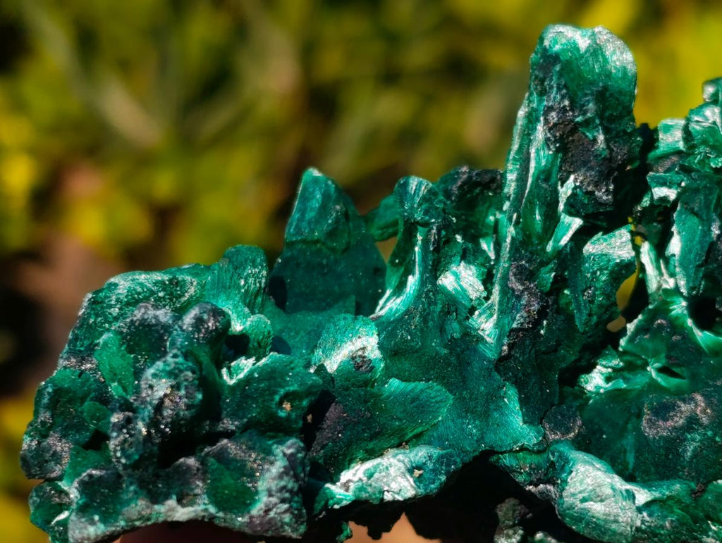 Natural AA Grade Silky Malachite Specimen x 1 From Kasompe, Congo