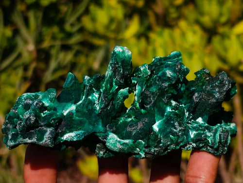 Natural AA Grade Silky Malachite Specimen x 1 From Kasompe, Congo