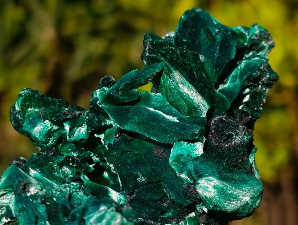 Natural AA Grade Silky Malachite Specimen x 1 From Kasompe, Congo