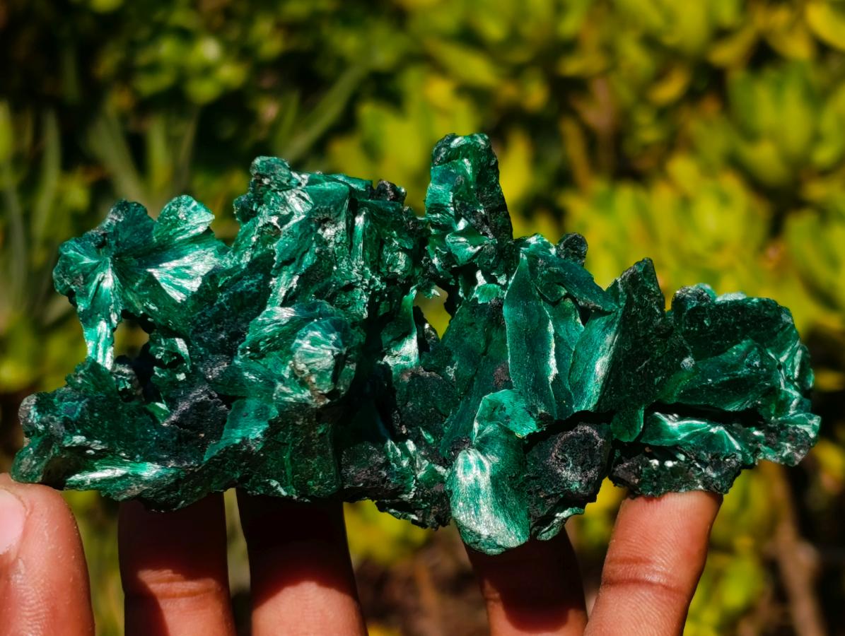 Natural AA Grade Silky Malachite Specimen x 1 From Kasompe, Congo