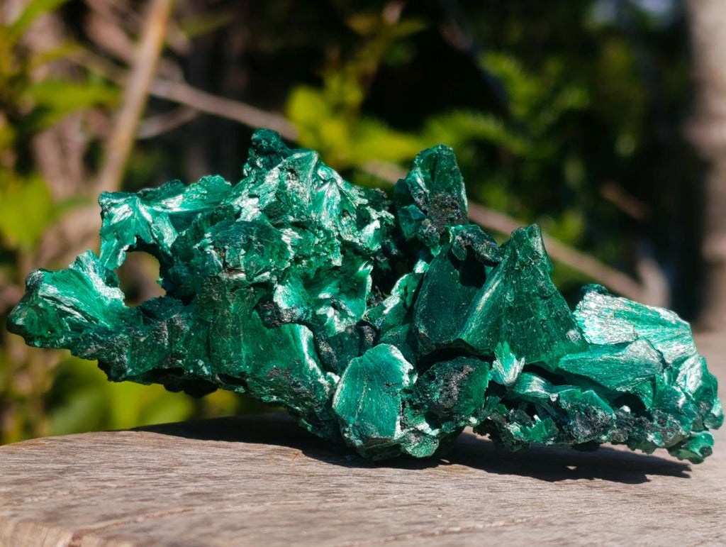 Natural AA Grade Silky Malachite Specimen x 1 From Kasompe, Congo