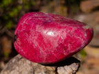 Polished Pair of Rare Red Rhodesian Rhodonite Display Free Forms x 1 From Rhusinga, Zimbabwe