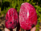Polished Pair of Rare Red Rhodesian Rhodonite Display Free Forms x 1 From Rhusinga, Zimbabwe