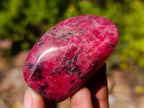 Polished Pair of Rare Red Rhodesian Rhodonite Display Free Forms x 1 From Rhusinga, Zimbabwe