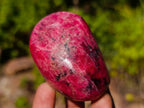 Polished Pair of Rare Red Rhodesian Rhodonite Display Free Forms x 1 From Rhusinga, Zimbabwe