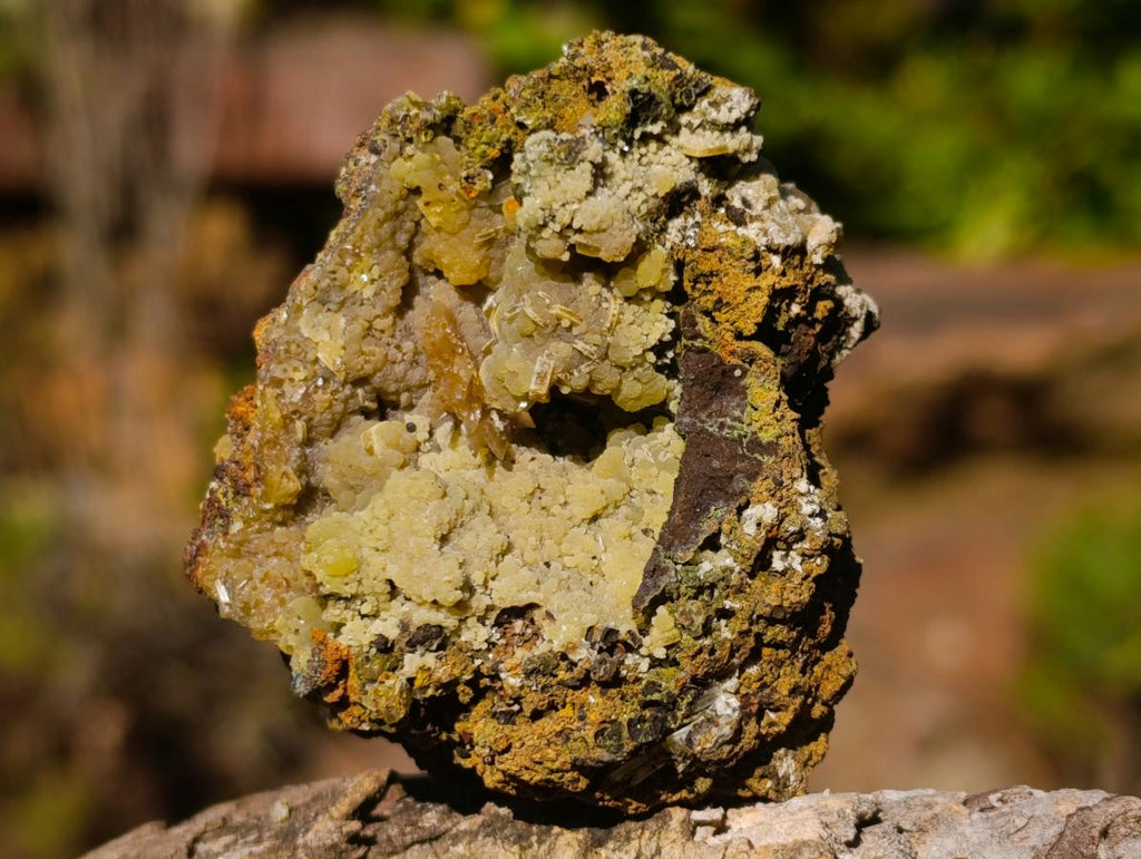 Natural Rare Mimetite and Barite Specimen x 1 From Mapimí, Mexico