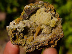 Natural Rare Mimetite and Barite Specimen x 1 From Mapimí, Mexico