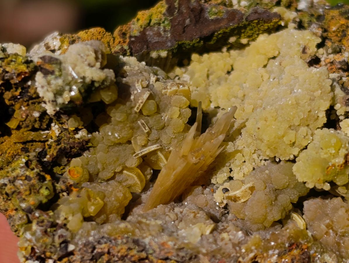 Natural Rare Mimetite and Barite Specimen x 1 From Mapimí, Mexico