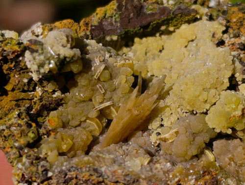 Natural Rare Mimetite and Barite Specimen x 1 From Mapimí, Mexico