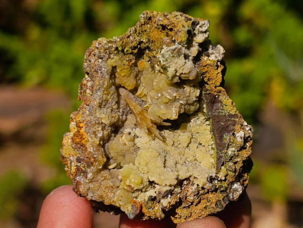 Natural Rare Mimetite and Barite Specimen x 1 From Mapimí, Mexico
