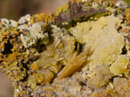 Natural Rare Mimetite and Barite Specimen x 1 From Mapimí, Mexico