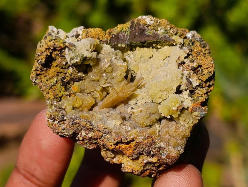Natural Rare Mimetite and Barite Specimen x 1 From Mapimí, Mexico